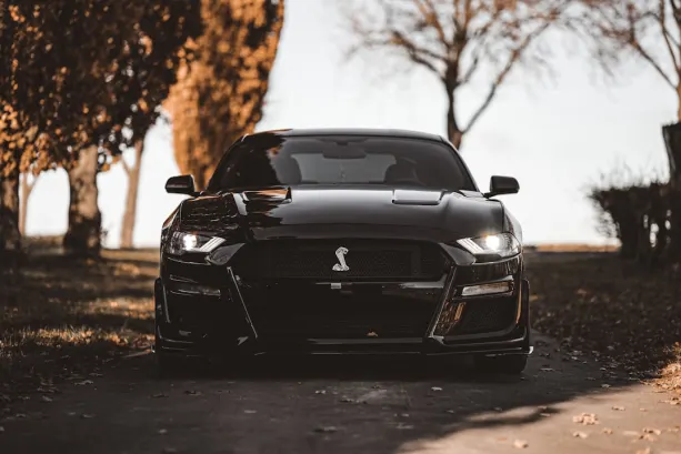 Casino777 Kasino Android/iOS Sovellus